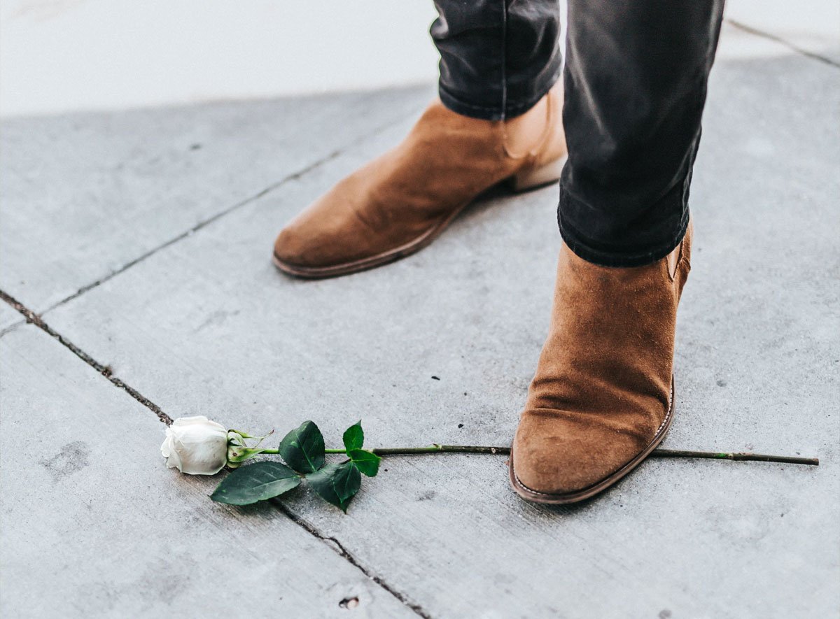 Etiam commodo eros non erat tristique congue