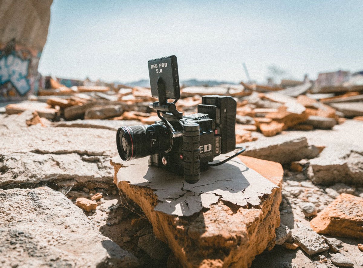 Etiam commodo eros non erat tristique congue